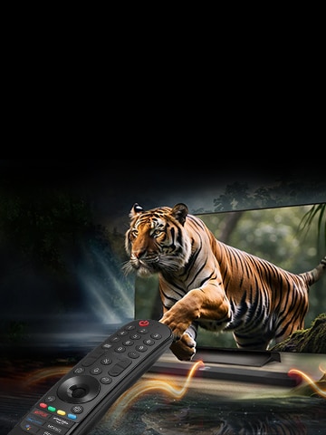 This is a picture of the LG tv and its accessory.