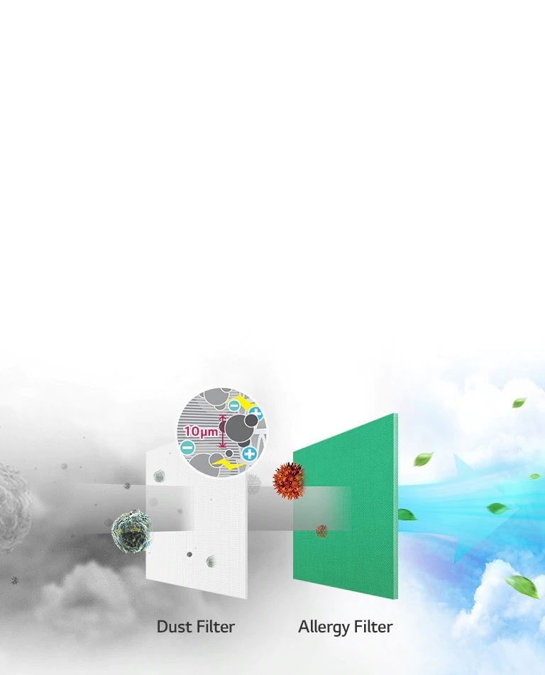 Anti Allergy Filter