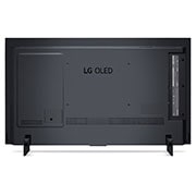 LG OLED evo C2 121 cm (48) 4K Smart TV | TV Wall Design | WebOS  | Gaming TV, OLED48C2PSA