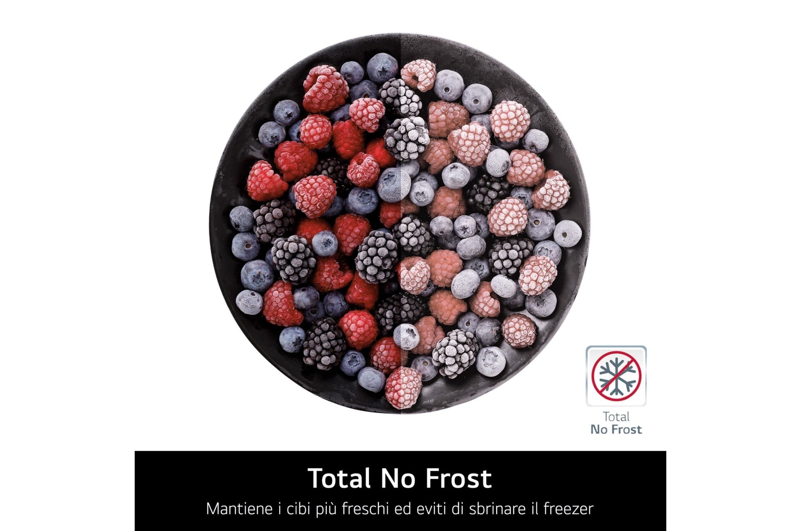 Caratteristica Total no frost
