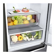 LG Frigorifero combinato | Classe C, 384L | Door & Linear Cooling, Fresh Balancer, Fresh Converter, No frost | Grafite, GBP62DSNCN