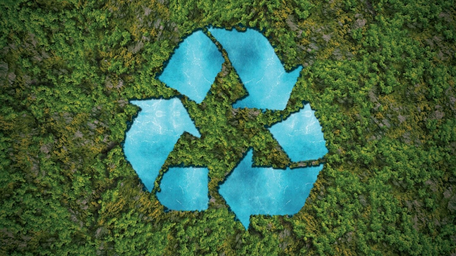 Giornata mondiale della terra: immagine con simbolo ecologia su un prato verde