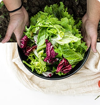  Mani che tengono una ciotola di insalata fresca.
