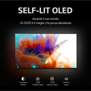 LG OLED | TV 65'' Serie B2 | OLED 4K, Smart TV, Dolby Vision IQ e Atmos, OLED65B26LA