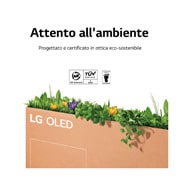 LG OLED | TV 65'' Serie B2 | OLED 4K, Smart TV, Dolby Vision IQ e Atmos, OLED65B26LA