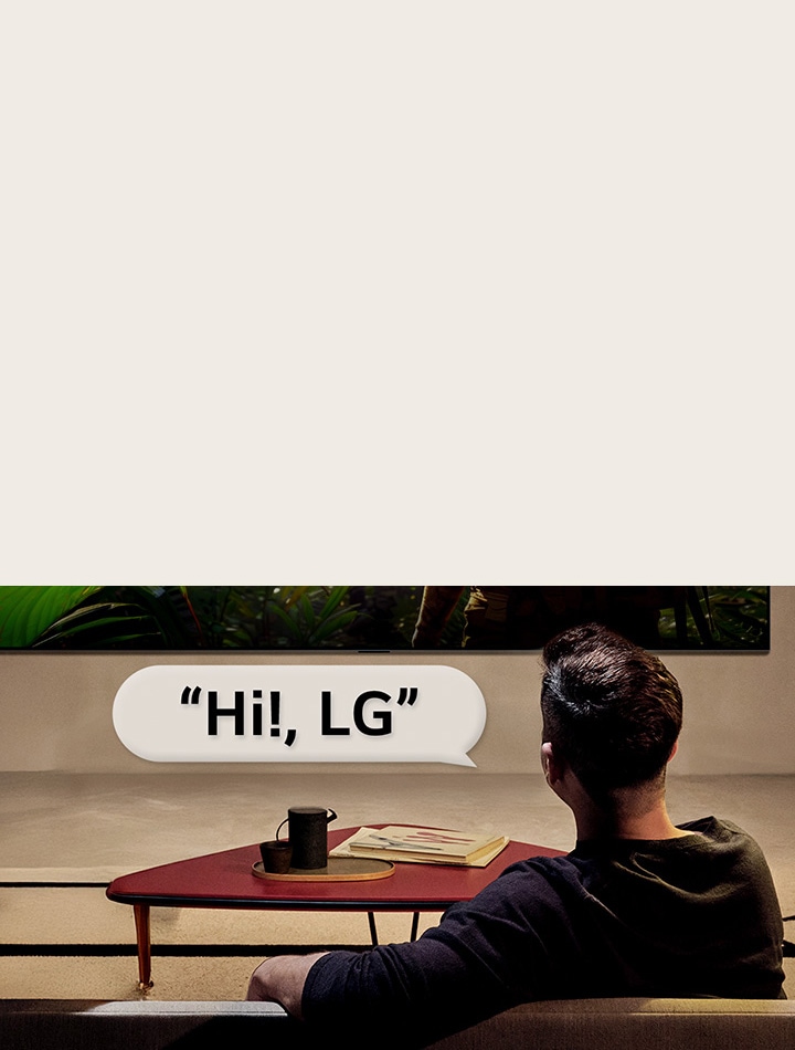リビングルームに人がいる。その周りに吹き出しがあり、人々が「Hi LG」と言うだけでどのようにLG TVとやり取りしているかを示している。