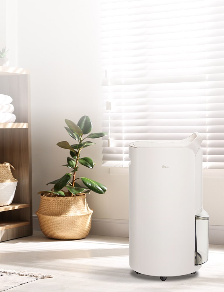 コーミングベージュのLG Puricare?除濕機Objet Collectionを表示している。