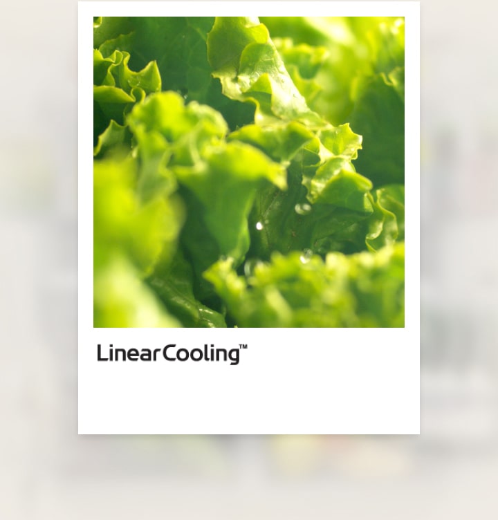 Холодильник LG с нижней морозильной камерой и технологией Linear Cooling сохраняет свежесть продуктов до 7 дней благодаря поддержанию температуры с точностью ±0,5?°C.	