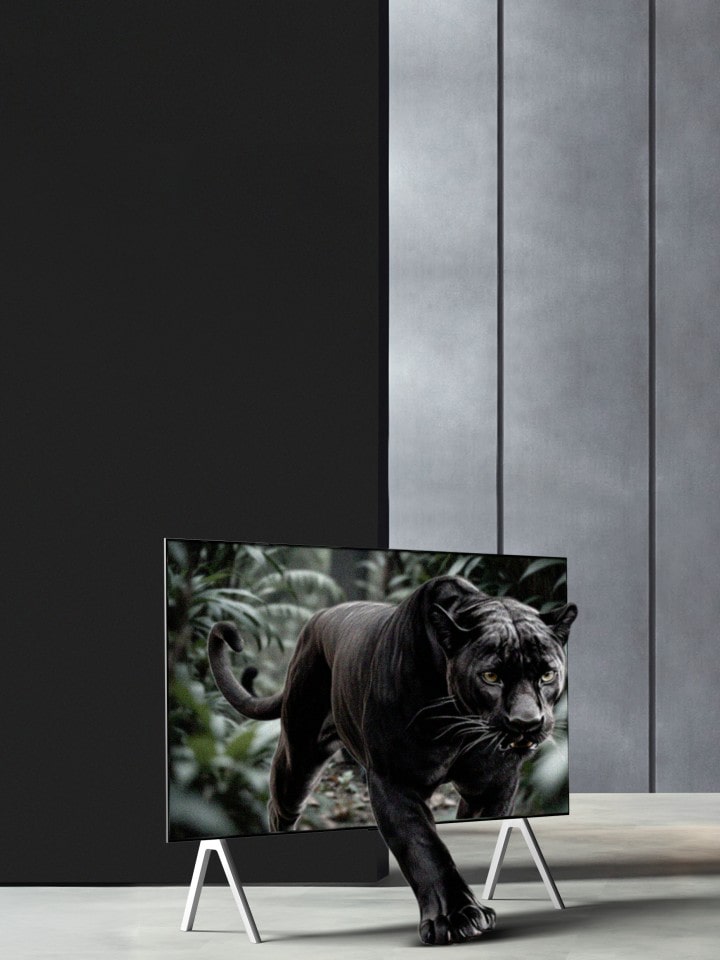 Une panthère dans la jungle semble sortir d’un écran de LG TV sur un support. Les lignes apparaissent comme si l’IA analysait la panthère, puis l’arrière-plan. L’image globale est améliorée, montrant comment l’amplificateur d’objet per?u IA apporte de la profondeur 3D à chaque scène. 