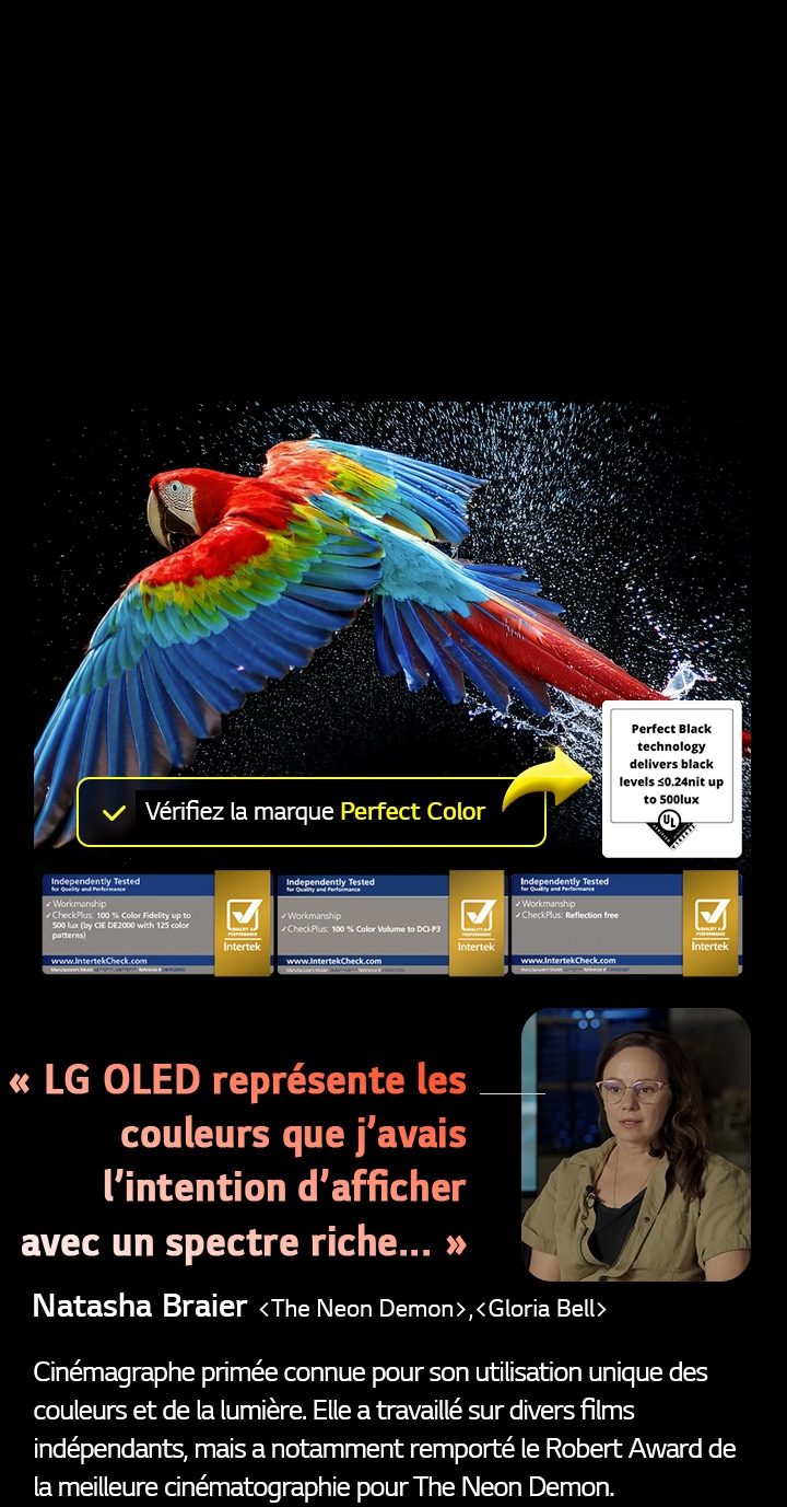 Perroquet coloré en ultra haute définition sur un fond noir. On voit des gouttes d’eau suspendues dans l’air tout autour. L’image présente la technologie Perfect Color, car chaque couleur différente du corps du perroquet est dynamique et éclatante. Le fond sombre avec les éclaboussures d’eau détaillées met également en valeur la protection de l’écran contre les reflets. Différentes certifications de logo UL et Intertek sont visibles. Celles-ci font référence aux technologies 100?% de fidélité des couleurs, Volume de couleurs à 100?% et à sa certification sans reflet. Le texte est également visible, vérifiez le logo de certification Perfect Color.