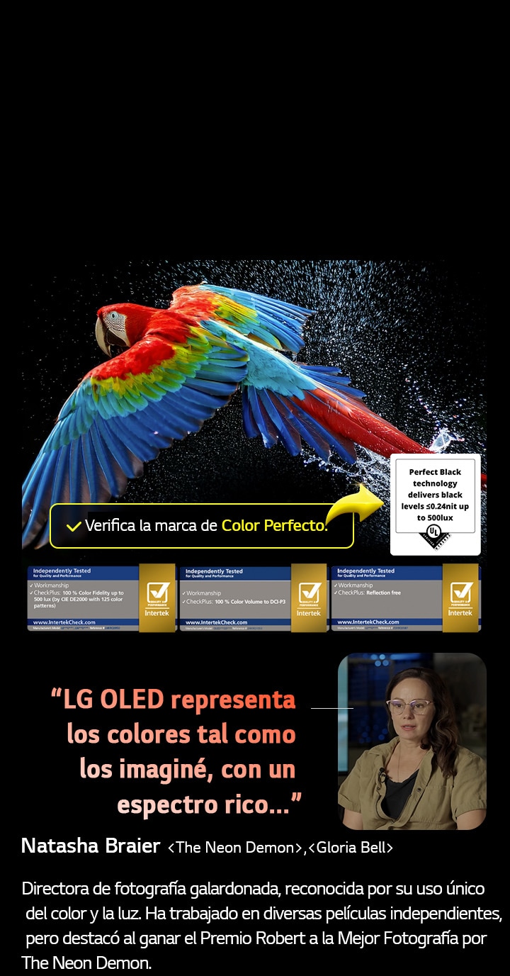 Un loro colorido en ultra alta definición sobre un fondo negro. A su alrededor hay gotas de agua suspendidas en el aire. La imagen muestra un Color Perfecto, ya que cada tono diferente del cuerpo del loro es vibrante y vívido. El fondo oscuro con salpicaduras de agua detalladas también resalta cómo la pantalla está libre de reflejos. Se observan diferentes certificaciones de logotipos de UL e Intertek. Estos se refieren a su 100?% de fidelidad de color, 100?% de volumen de color y su afirmación de ausencia de reflejos. También se observa un texto: Verifica la marca de certificación Color Perfecto.