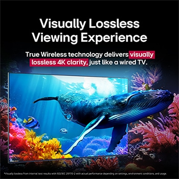 A whale swims out towards the viewer through a QNED9M placed amidst the corals in the ocean. Text talks about how detail is impressive showing visually lossless 4K quality. 