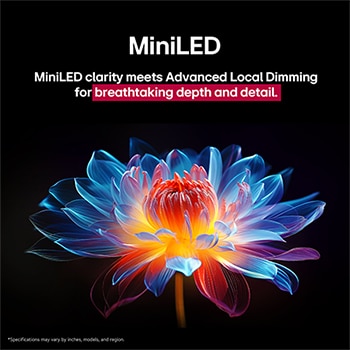 3D holographic flower in many different shades and hues against a black background. The definition and detail of the flower shows off QNED MiniLED's capability to produce visuals with exceptional color, brightness, and contrast. The title talks about how MiniLED enhances clarity and provides exceptional contrast.
