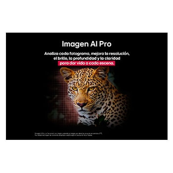 Leopard in the forest in vivid color and detail. The leopard has a grid and a light glowing behind it, indicating how LG AI Picture Pro made impressive visual enhancements to the scene's resolution, brightness, depth, and clarity.
