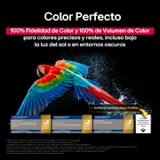 Un loro colorido en ultra alta definición sobre un fondo negro. A su alrededor hay gotas de agua suspendidas en el aire. La imagen muestra un Color Perfecto, ya que cada tono diferente del cuerpo del loro es vibrante y vívido. Se observan diferentes certificaciones de logotipos de UL e Intertek. Estos se refieren a su 100?% de fidelidad de color y 100?% de volumen de color. También se observa un texto: Verifica la marca de certificación de Color Perfecto.