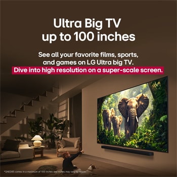 LG 100 inch?LG QNED AI QNED86 4K Smart TV 2025, 100QNED86AS