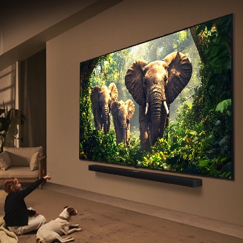 LG 100 inch?LG QNED AI QNED86 4K Smart TV 2025, 100QNED86AS