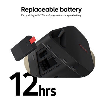 Replaceable battery