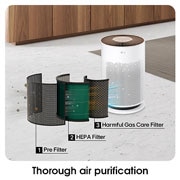 LG PuriCare? 360o HIT Air Purifier (Brown) with compact and complete air purification, AS60GHCG0