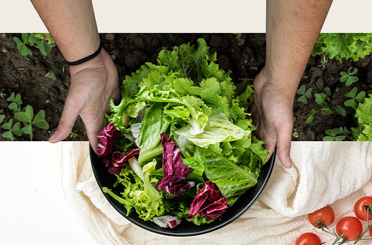 Bovenste deel: oogsten van sla. Onderste deel: verse salade op bord. Groenten zijn verbonden, alsof ze één afbeelding zijn.