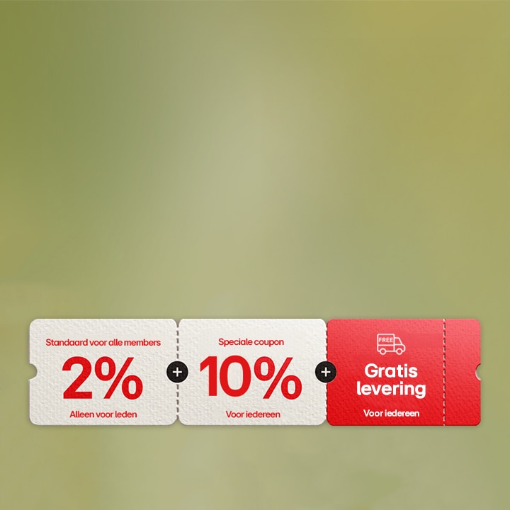 Promotion banner