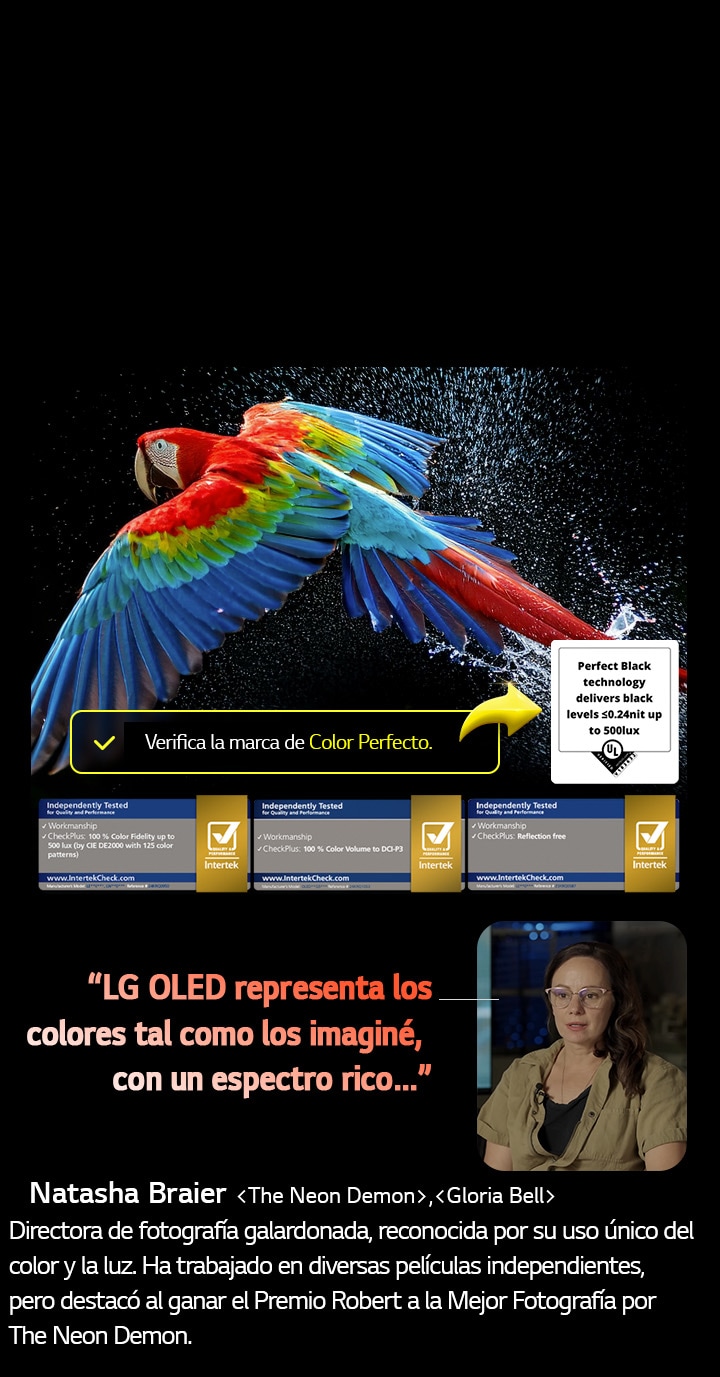 Un loro colorido en ultra alta definición sobre un fondo negro. A su alrededor hay gotas de agua suspendidas en el aire. La imagen muestra un Color Perfecto, ya que cada tono diferente del cuerpo del loro es vibrante y vívido. El fondo oscuro con salpicaduras de agua detalladas también resalta cómo la pantalla está libre de reflejos. Se observan diferentes certificaciones de logotipos de UL e Intertek. Estos se refieren a su 100?% de fidelidad de color, 100?% de volumen de color y su afirmación de ausencia de reflejos. También se observa un texto: Verifica la marca de certificación Color Perfecto.