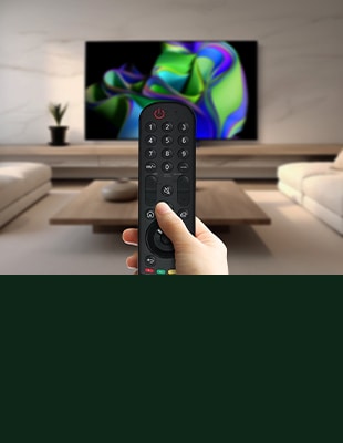 TV Remote Controller