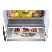 LG Lodówko-zamra?arka LG V+ 2,03m ThinQ GBB92STAXP, GBB92STAXP