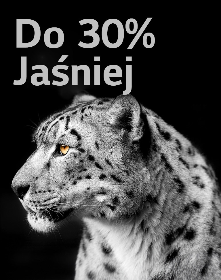 Bia?y lampart prezentuj?cy bok pyska po lewej stronie obrazu. Po lewej stronie pojawia si? napis ?Do 30% ja?niej”.