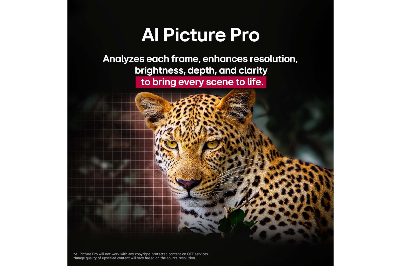 Leopardo na floresta em cores e detalhes vívidos. O leopardo tem uma grelha e uma luz por trás, indicando como o LG AI Picture Pro fez melhorias visuais impressionantes na resolu??o, luminosidade, profundidade e nitidez da cena.
