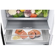 LG Frigorífico Combinado | 341 L | Etiqueta energética D | 1,86 m | DoorCooLing+? | FRESHConverter? | FRESHBaLancer?, GBB71MCVGN