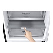 LG Frigorífico Combinado | 384 L | Etiqueta energética D | 2,03 m | DoorCooLing+? | FRESHConverter? | FRESHBaLancer? | Wi-Fi, GBB72MCDGN