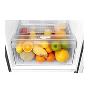 LG Frigorífico de 2 portas LG GTB523PZCZD, 312 litros, eficiência energética F, Door Cooling+?, Shiny Steel, GTB523PZCZD