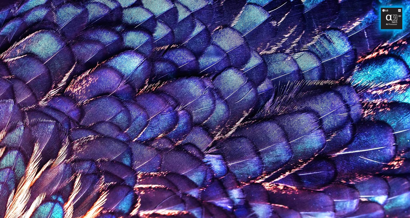 Imagem de texturas de penas brilhantes iridescentes de um pássaro Irena de cor lilás. A imagem é dividida em duas: a parte superior é mais vívida e indica Redimensionamento AI 8K com a imagem do chip do processador e a parte inferior é mais pálida.