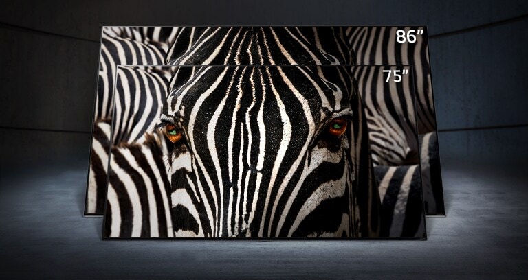 Uma TV NanoCell de 75 polegadas em frente a outra de 86, num espa?o escuro. Uma imagem de detalhe do rosto de uma zebra está nos ecr?s.