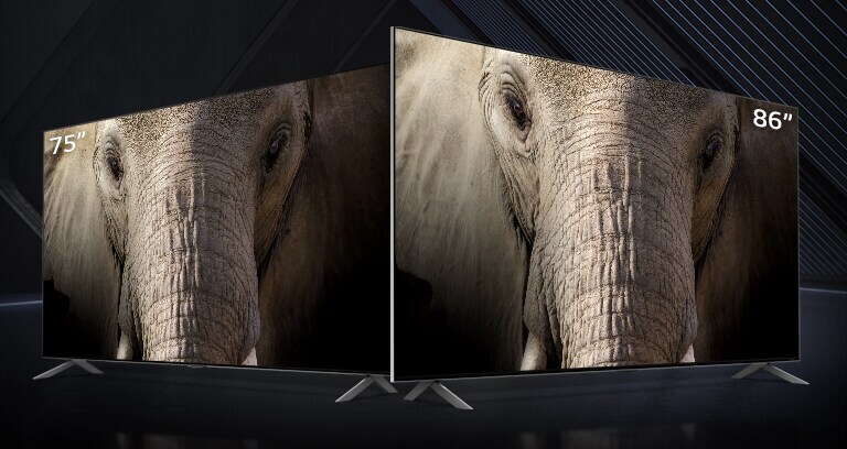 QNED MiniLEDs de 75 e 86 polegadas lado a lado num fundo escuro. O ecr? mostra o close-up de o rosto de um elefante.