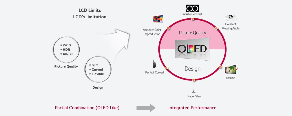 OLED ??? ????? ????????