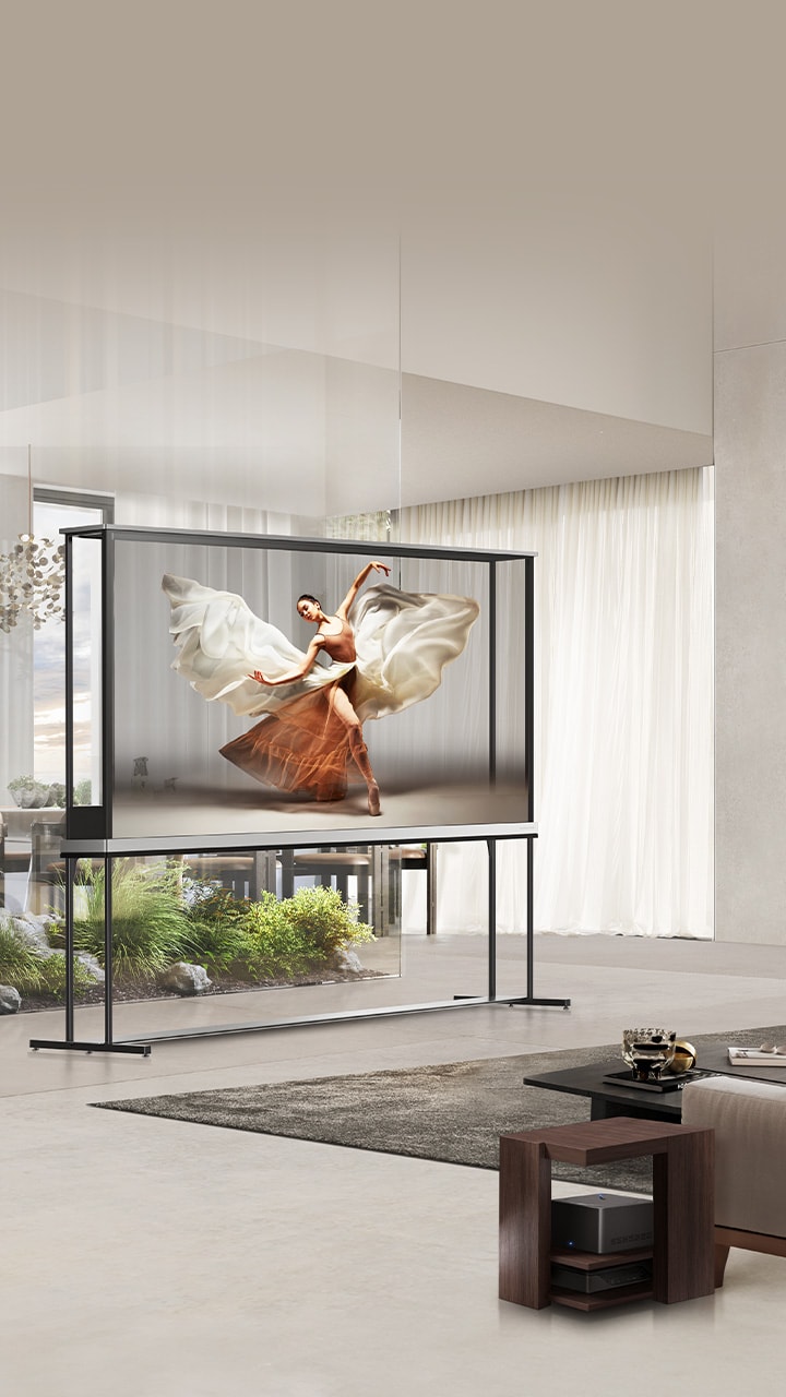 ??? ???? LG Signature OLED T ?? ????? ???? ????? ????? ???? ??????. ?????? ????? Zero Connect Box ??? ????? ????? ????? ???????.