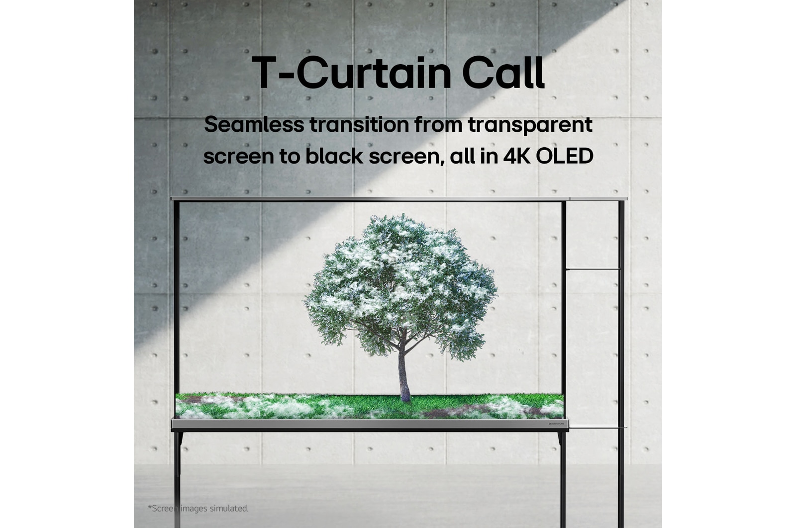 ??????? LG SIGNATURE OLED T ???? ???? ????? ?????? ????? ?????.
