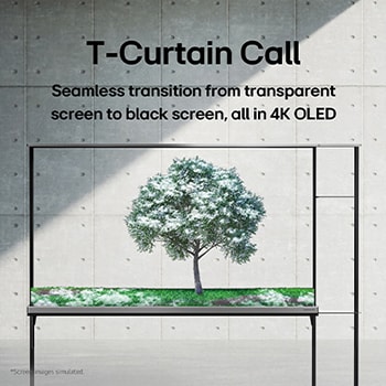 ??????? LG SIGNATURE OLED T ???? ???? ????? ?????? ????? ?????.