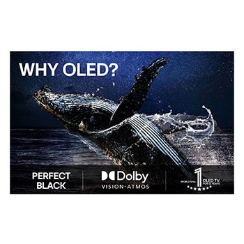 oled55g54lw