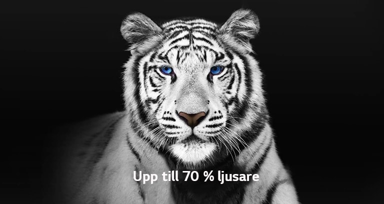 En video visar 2 bilder av en vit tiger, bilderna ligger intill varandra. Bilden som representerar Brightness Booster Max ser ut att vara upp till 70 % ljusare och fyller sedan sk?rmen.
