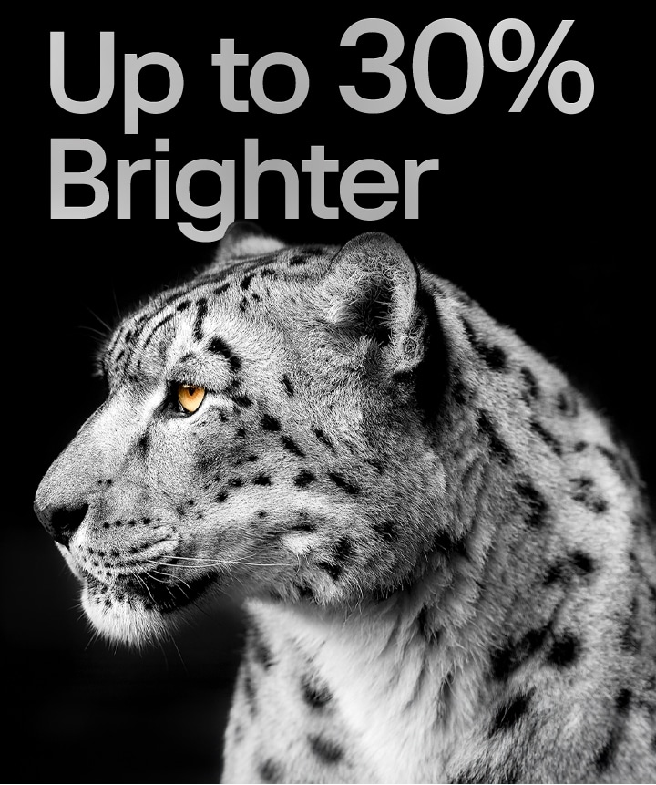 An image of a white leopard showing its side face on the left side of the image. The words "Up to 30% brighter" appear on the left.