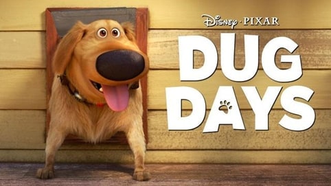 ??????????????? DUG DAYS ????????????