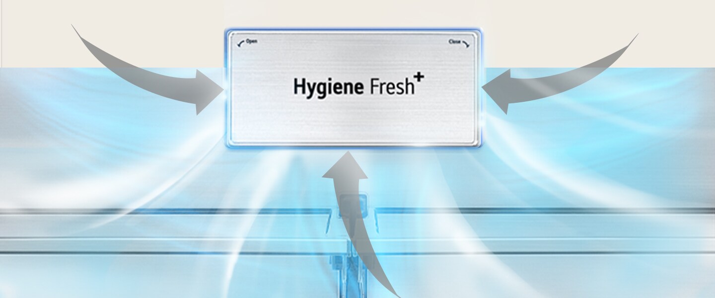 ?????? Hygiene Fresh+ ???????????????????????????????????????????????? Hygiene Fresh+ ?????????????????????????????????