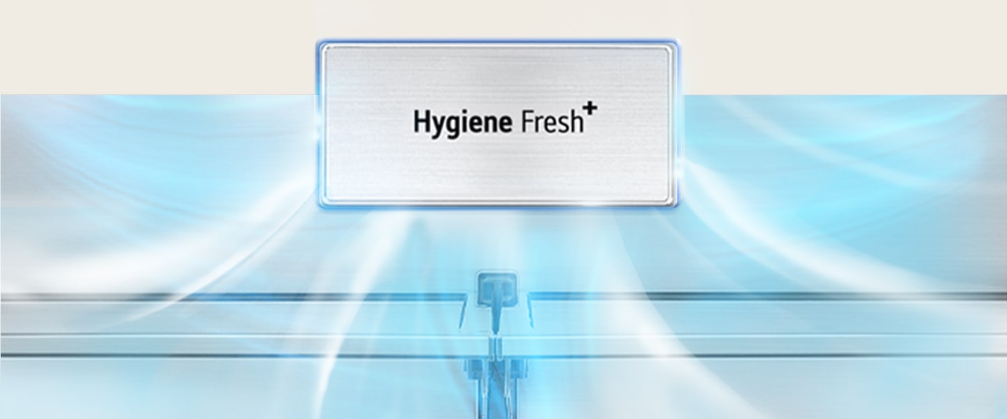 ?????? Hygiene Fresh+ ???????????????????????????????????????????????? Hygiene Fresh+ ???????????????????? ?????????????