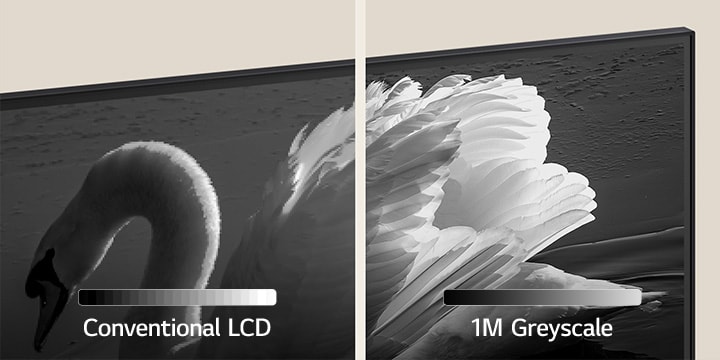 ??????????????????? ??????????? ????? 'LCD ?????????' ?????????????????????????????????????????????????? ?????????????? '1M Greyscale' ?????????????????????????????? ??????????? ?????????????????????????????