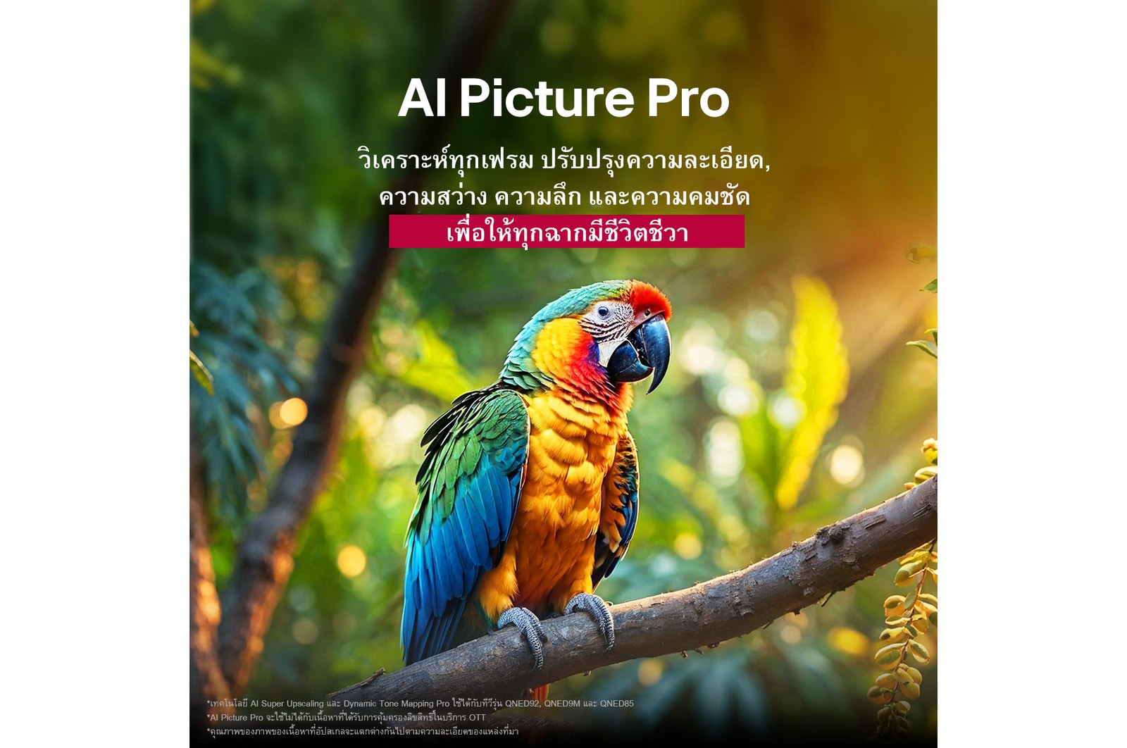 ???????????????????????????? ??????????????????? LG AI Picture Pro ???????????????????????????????????? ????????????????????? ????????? ??????????? ??????????????????
