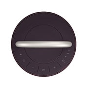 LG ????? XBOOM360 ????RP4.DTHALLK????? Portable Speakers., RP4
