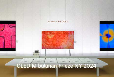 OLED M üzerinde g?sterilen sanat eseri.
